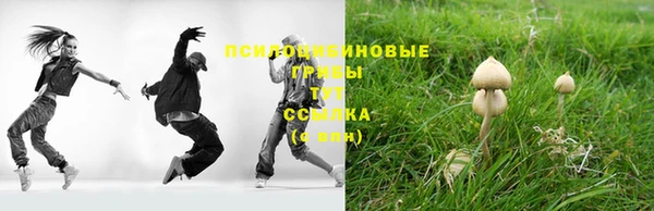 гашиш Белокуриха