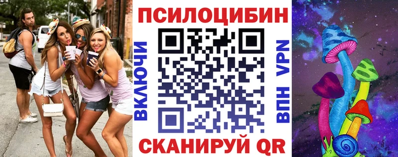 Псилоцибиновые грибы GOLDEN TEACHER  Чегем 